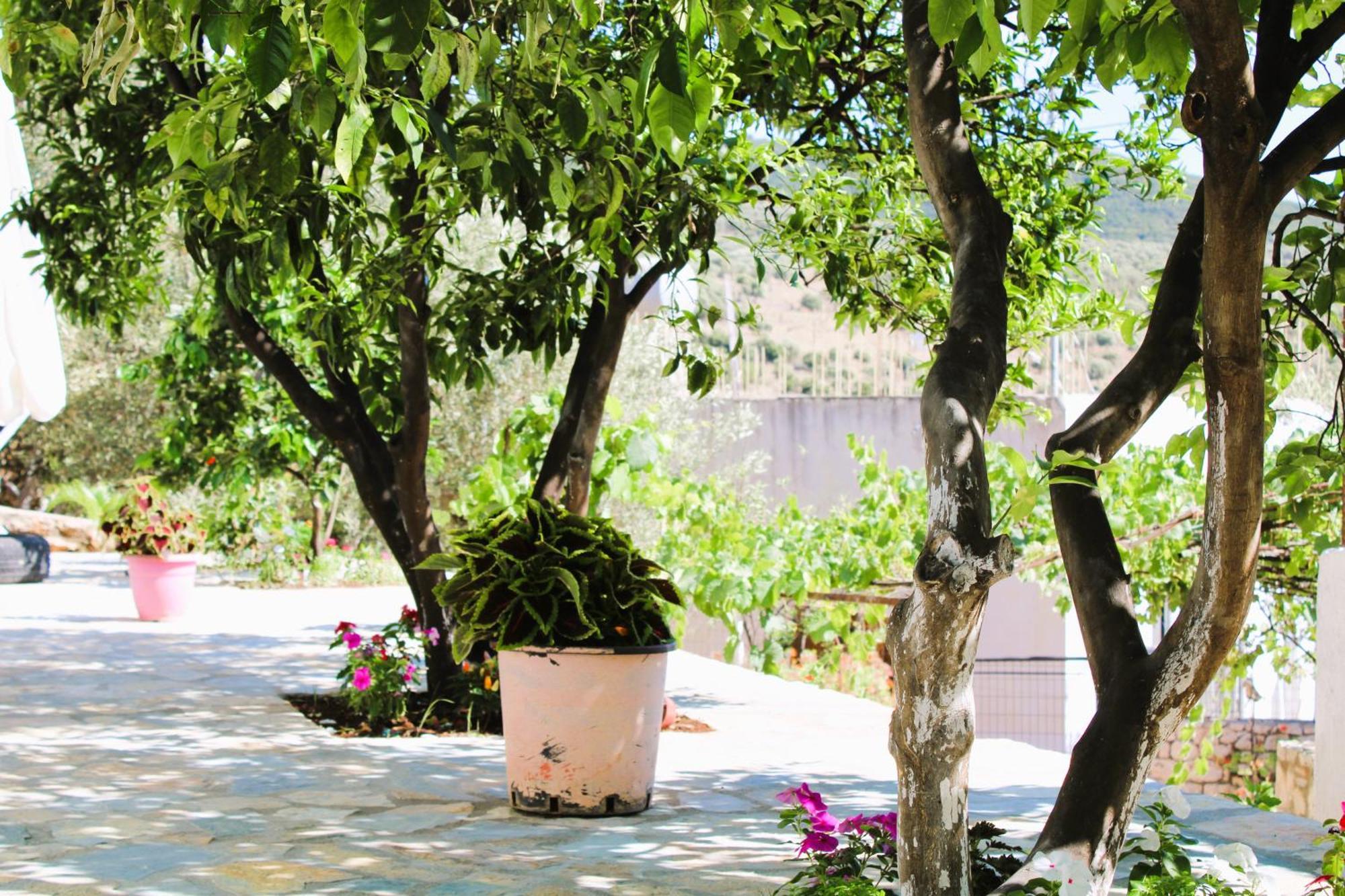 קסאמיל Keli Apartments מראה חיצוני תמונה