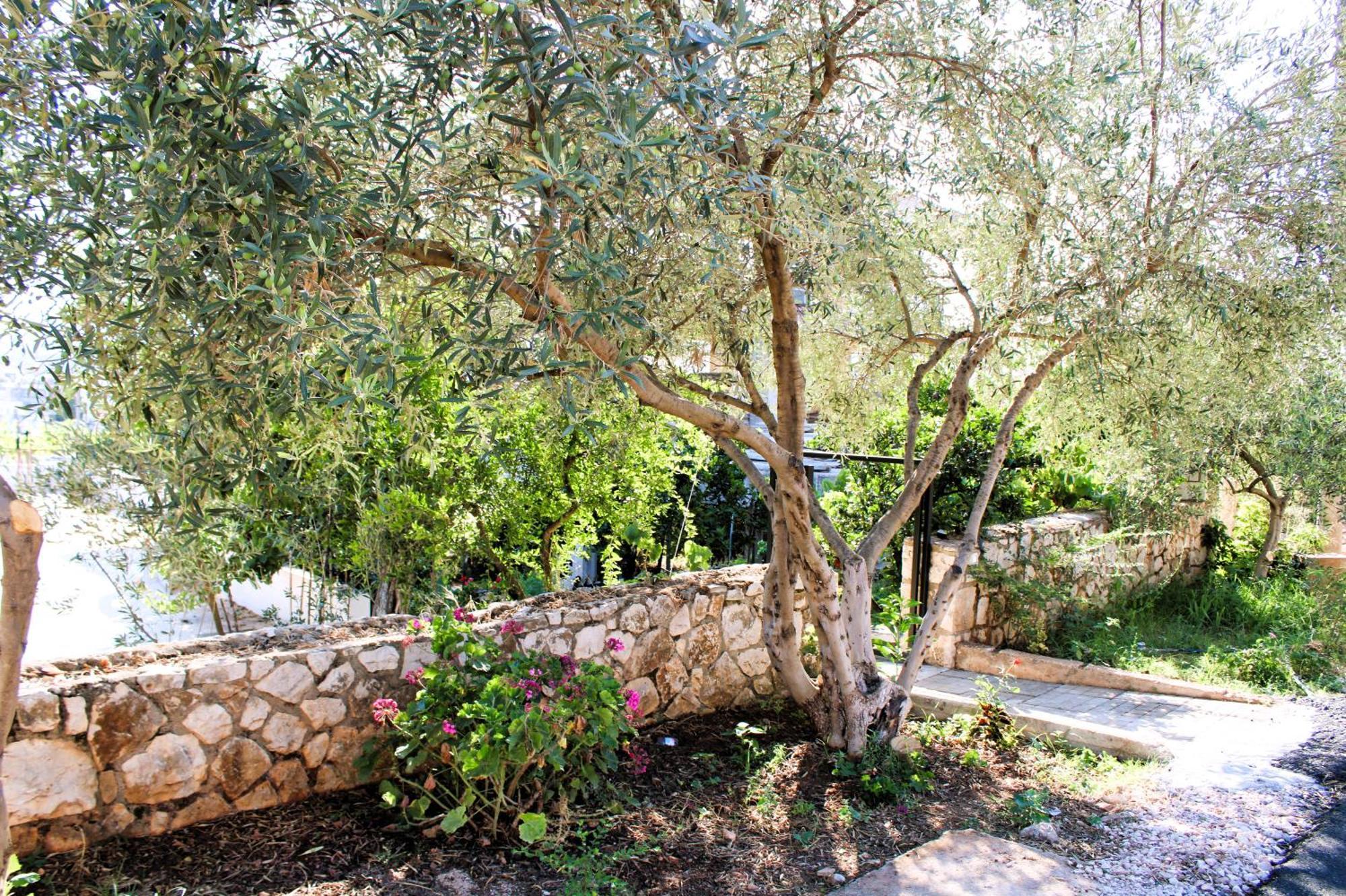 קסאמיל Keli Apartments מראה חיצוני תמונה